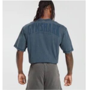 NWT Gymshark Heritage Wash T Shirt